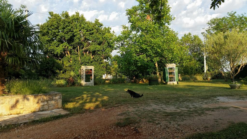 Apartments Davor ウマグ 部屋 写真